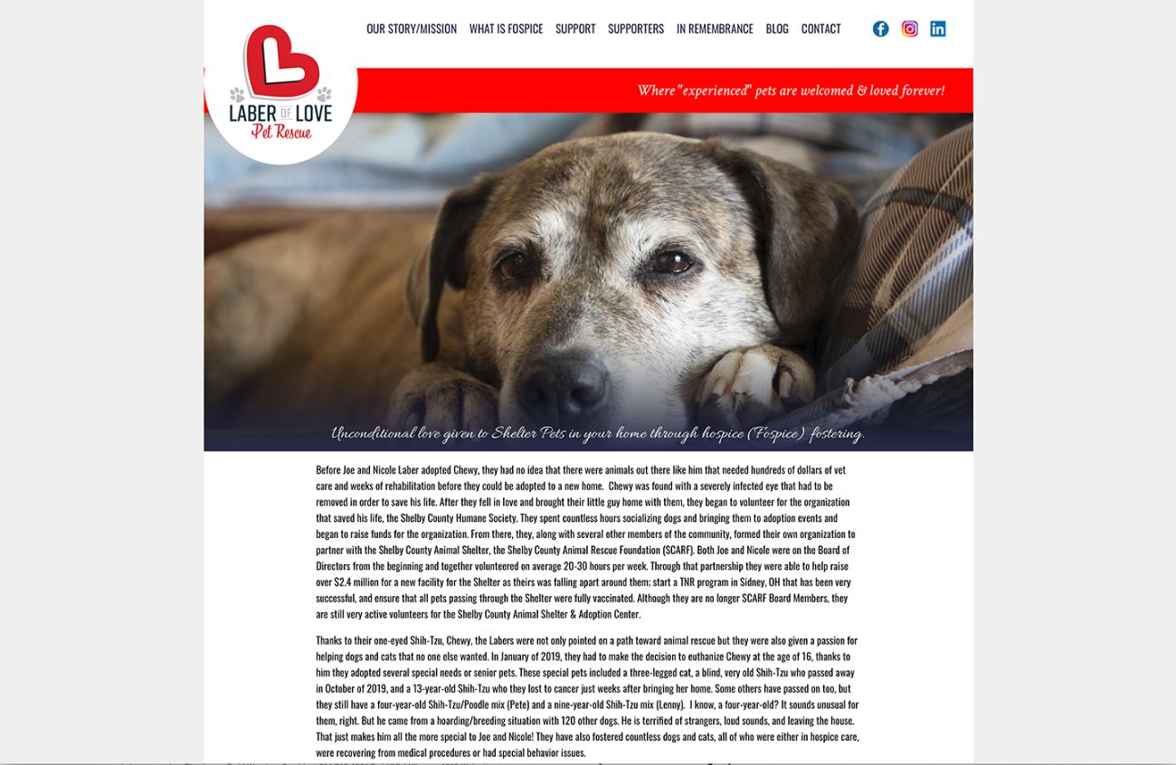 Laber of Love Pet Rescue